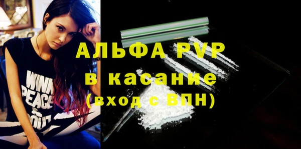 ПСИЛОЦИБИНОВЫЕ ГРИБЫ Пересвет
