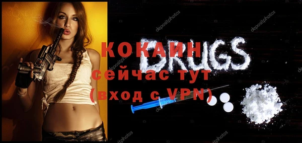 ПСИЛОЦИБИНОВЫЕ ГРИБЫ Пересвет