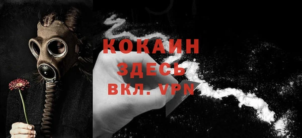 ПСИЛОЦИБИНОВЫЕ ГРИБЫ Пересвет