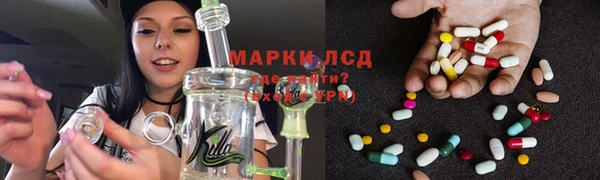 ПСИЛОЦИБИНОВЫЕ ГРИБЫ Пересвет