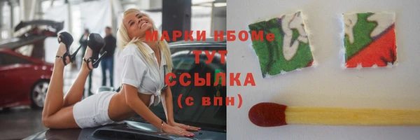 шишки Инсар