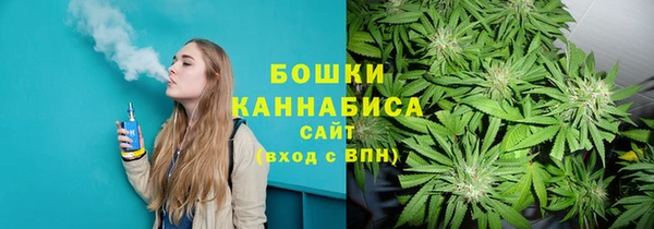 шишки Инсар