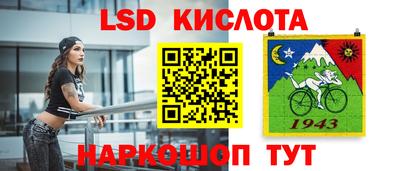стафф Бийск