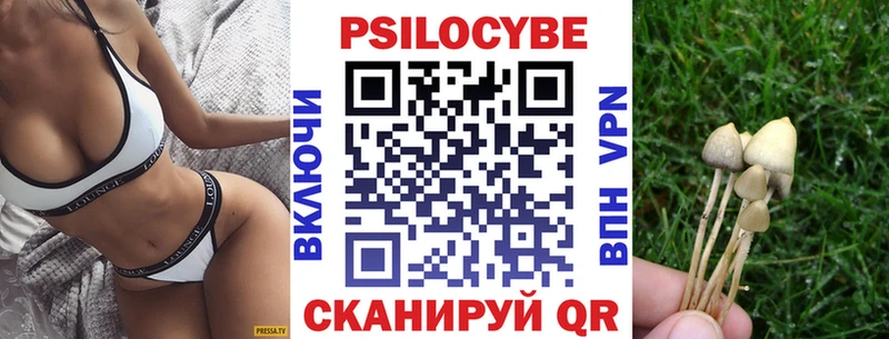 цены наркотик  Кыштым  Псилоцибиновые грибы Psilocybe 
