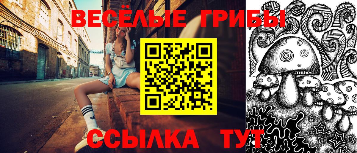 Кыштым  Псилоцибиновые грибы Magic Shrooms  Вход с VPN  Псилоцибиновые грибы Magic Shrooms 