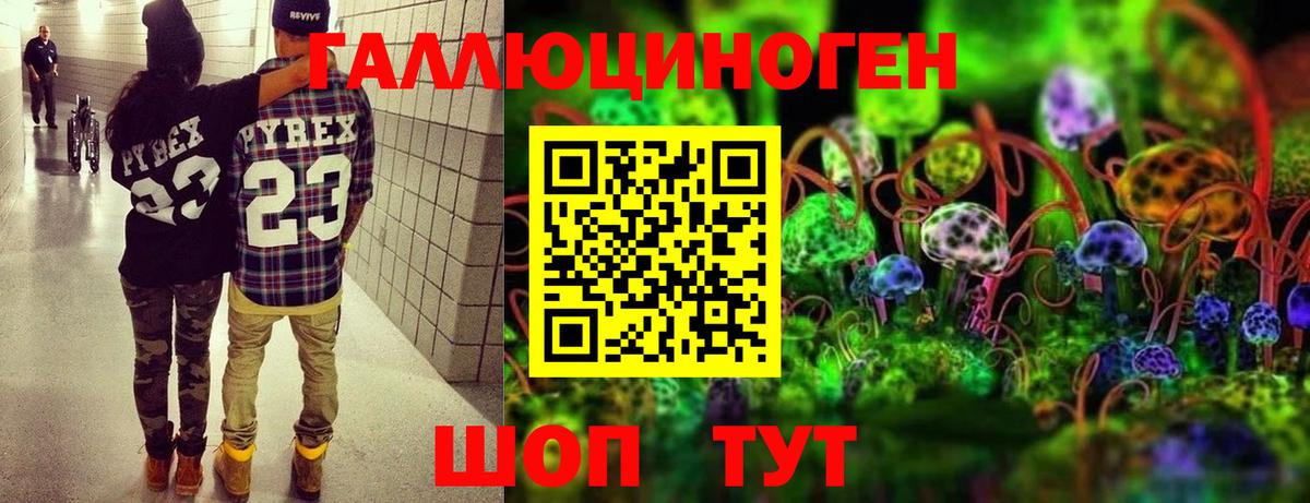 Галлюциногенные грибы Psilocybine cubensis  Кыштым 